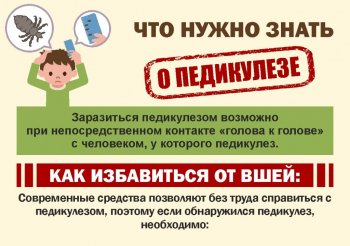 Внимание! Педикулез